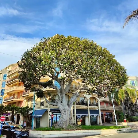 Le Coq Debussy - Parking - Ac - Wifi