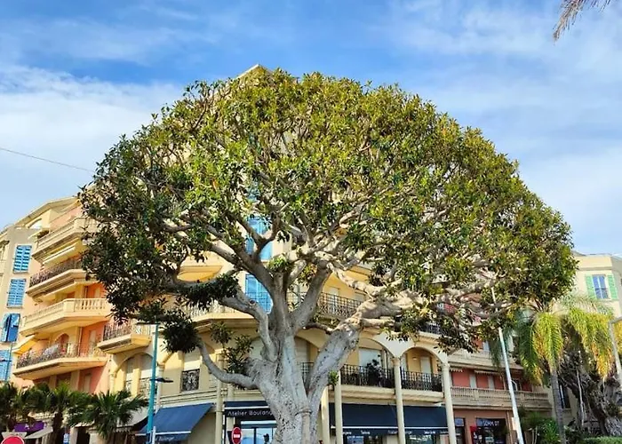 Le Coq Debussy - Parking - Ac - Wifi